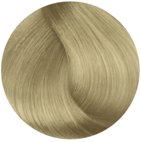 Стойкая профессиональная краска для волос - Goldwell Topchic Hair Color Coloration 10P (Перламутровый блондин пастельный)